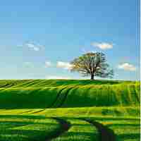 最﻿基‍础‍的﻿渗﻿透‌测‌试​流‌程‍